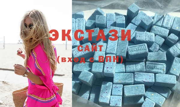 шишки Кодинск