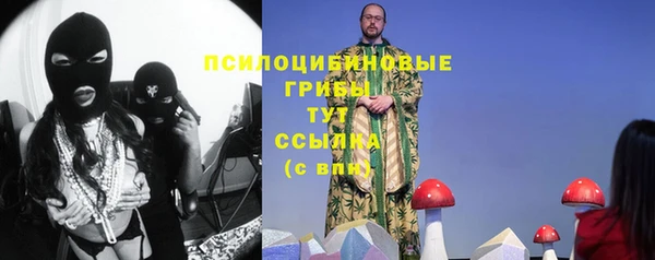 СК Кинешма