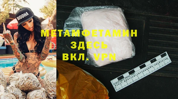шишки Кодинск
