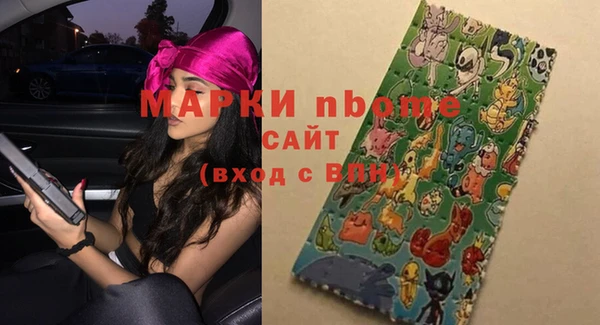 шишки Кодинск